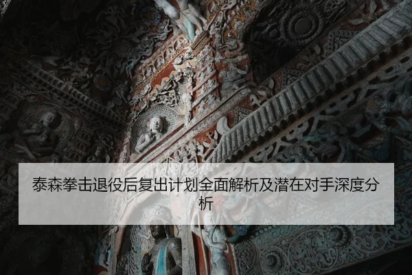 泰森拳击退役后复出计划全面解析及潜在对手深度分析